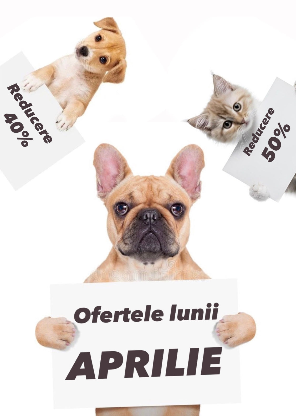 OFERTE LIMITATE