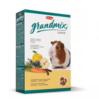 Hrana Padovan GrandMix porcusori de guineea