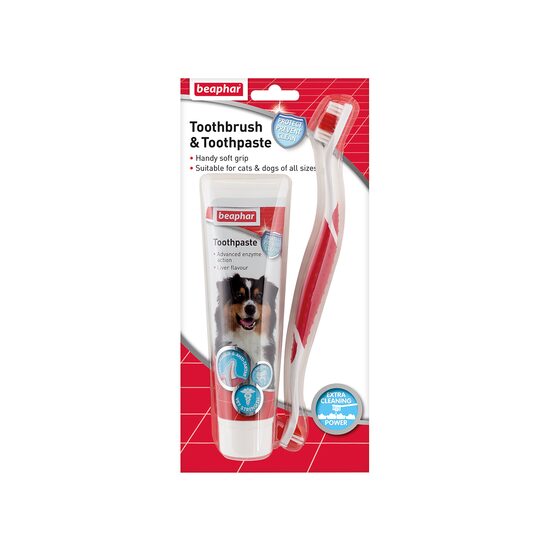 Kit dentar pentru catei adulti
