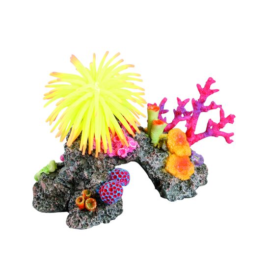 Decor pentru acvariu recif cu anemone