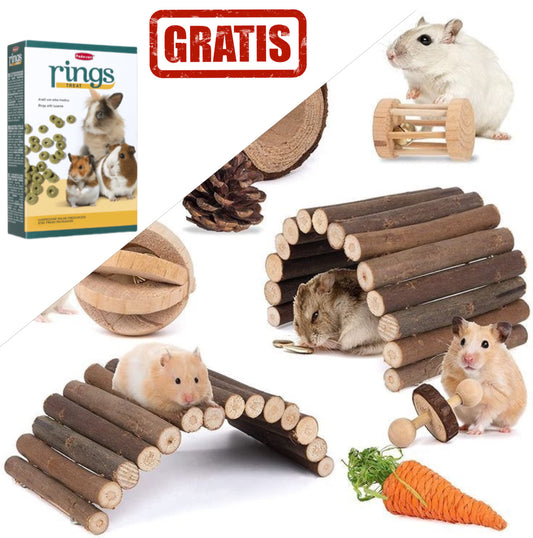 Gratis la orice accesoriu cumparat