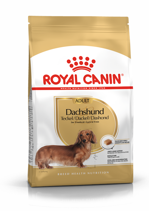 Royal Canin Dachshund Adult dry