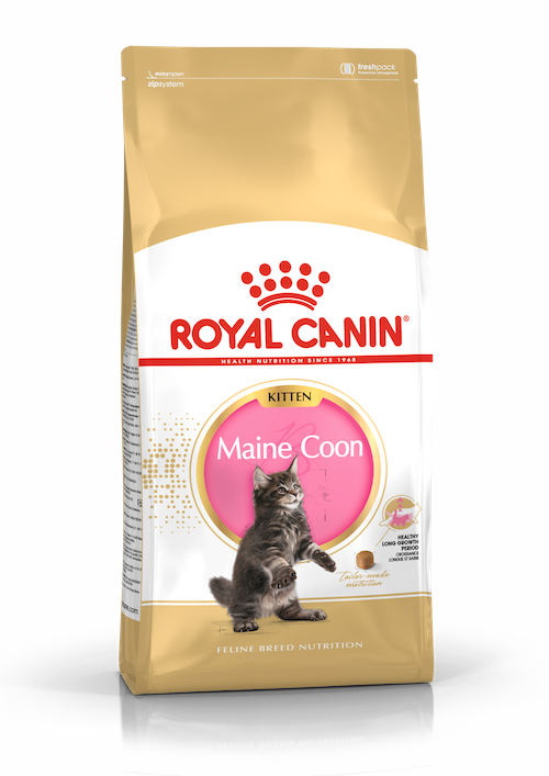 Royal Canin Kitten Maine Coon