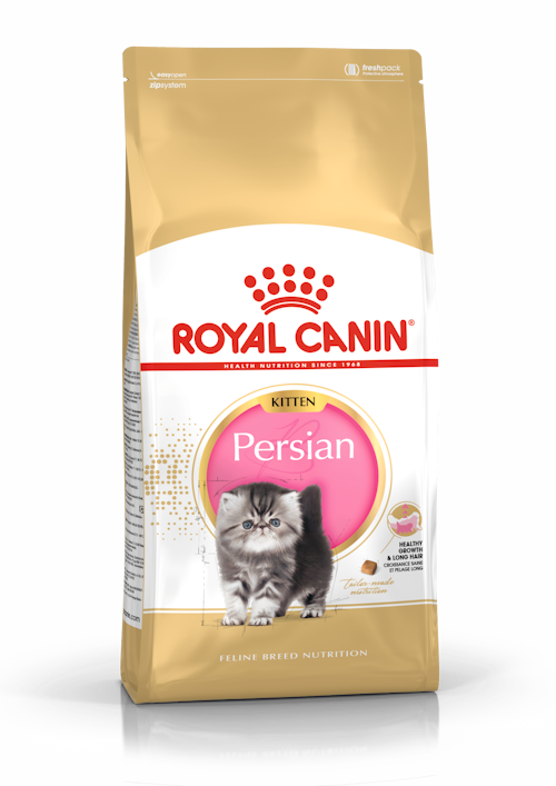 Royal Canin Persian Kitten