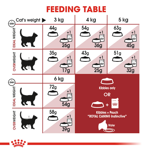 Royal Canin Regular Fit 32 dry