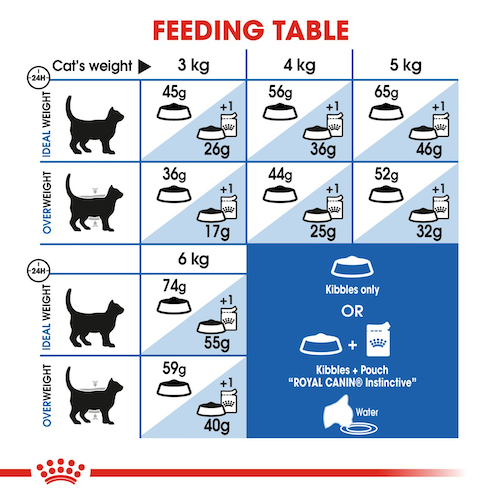 Royal Canin Home Life Indoor dry