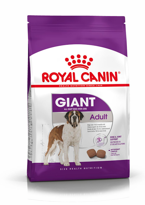 Royal Canin Adult Giant dry