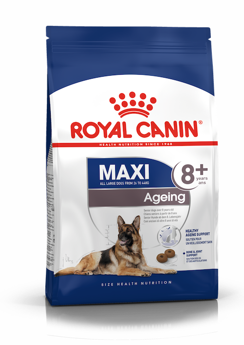 Royal Canin Maxi Ageing 8+ dry