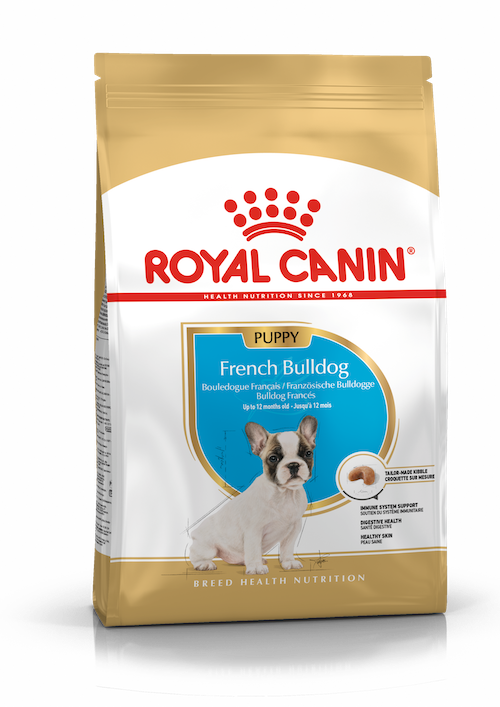 Royal Canin French Bulldog Puppy dry
