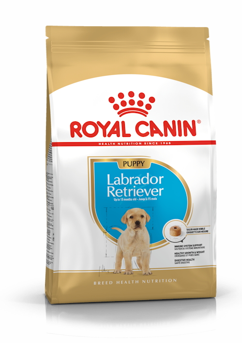 Royal Canin Labrador Retriever Puppy dry