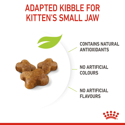 Royal Canin Kitten dry