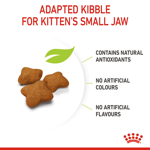 Royal Canin Kitten Sterilised dry