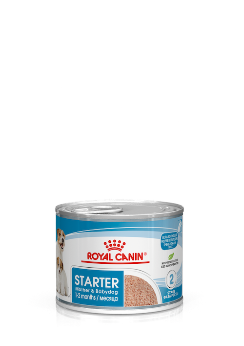 Royal Canin Starter Mother & Babydog wet