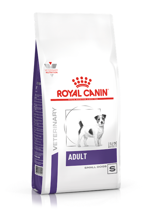 Royal Canin Adult Small Dog dry