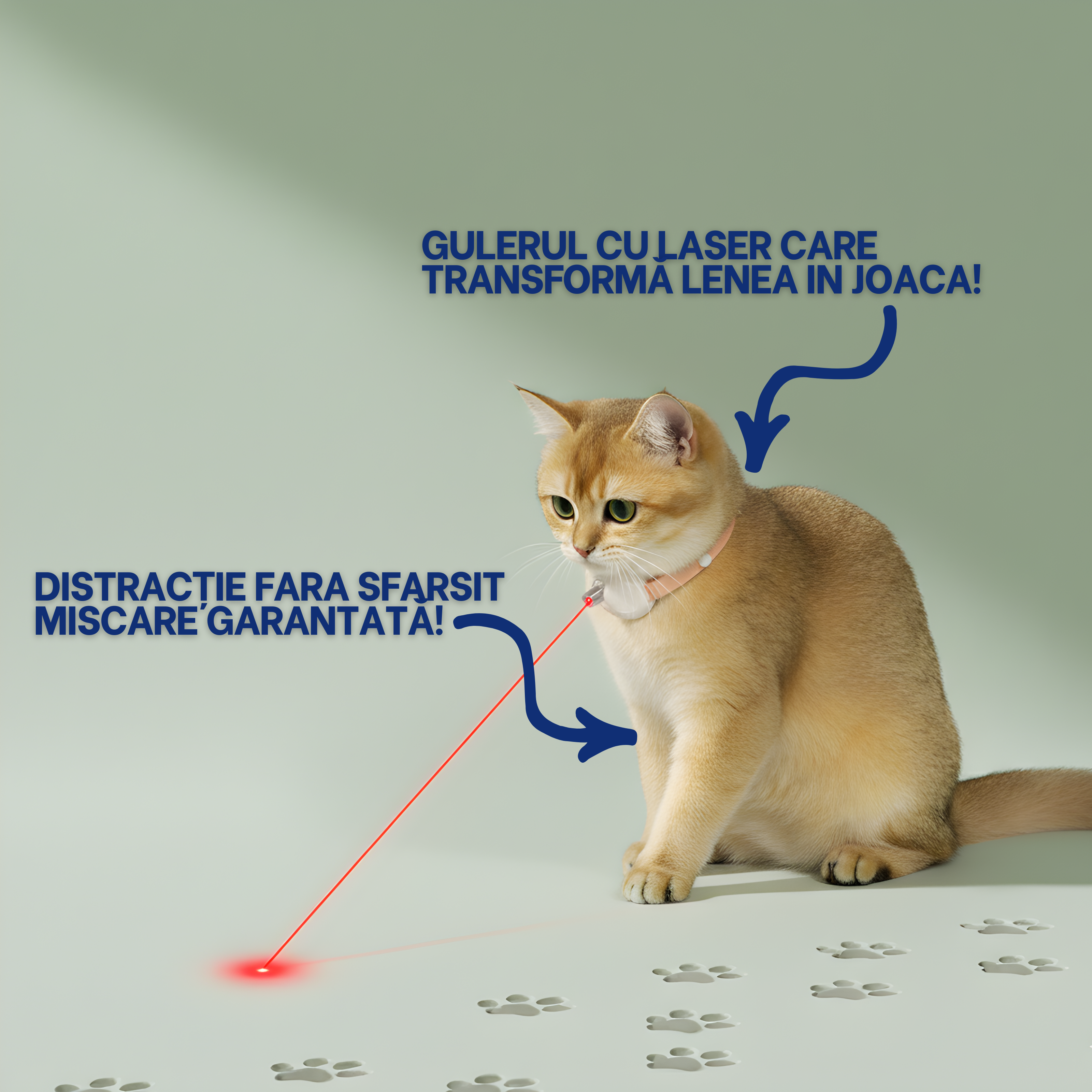Zgarda Inteligenta Cu Laser