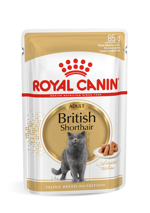 Royal Canin British Shorthair wet