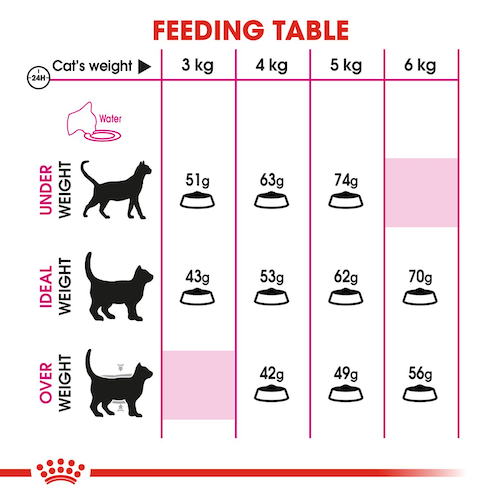 Royal Canin Savour Exigent dry