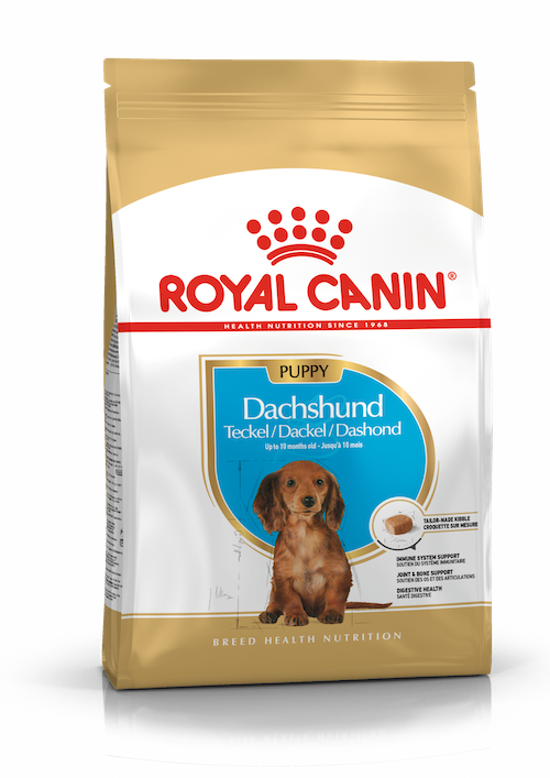 Royal Canin Dachshund Puppy dry