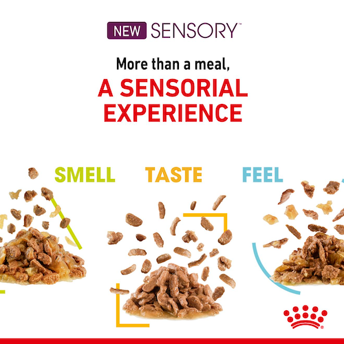 Royal Canin Sensory wet variety
