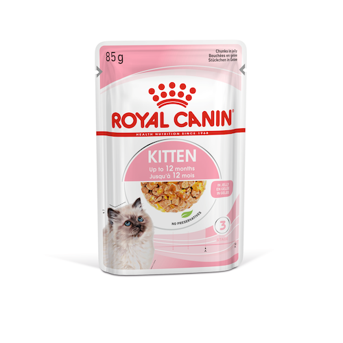 Royal Canin Kitten (aspic) wet